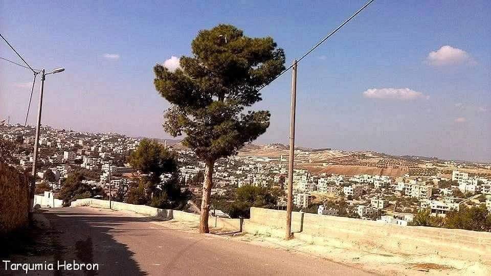 الخليل | موسوعة القرى الفلسطينية الخليل | موسوعة القرى الفلسطينية